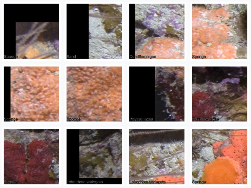 Sample point-centered patches
