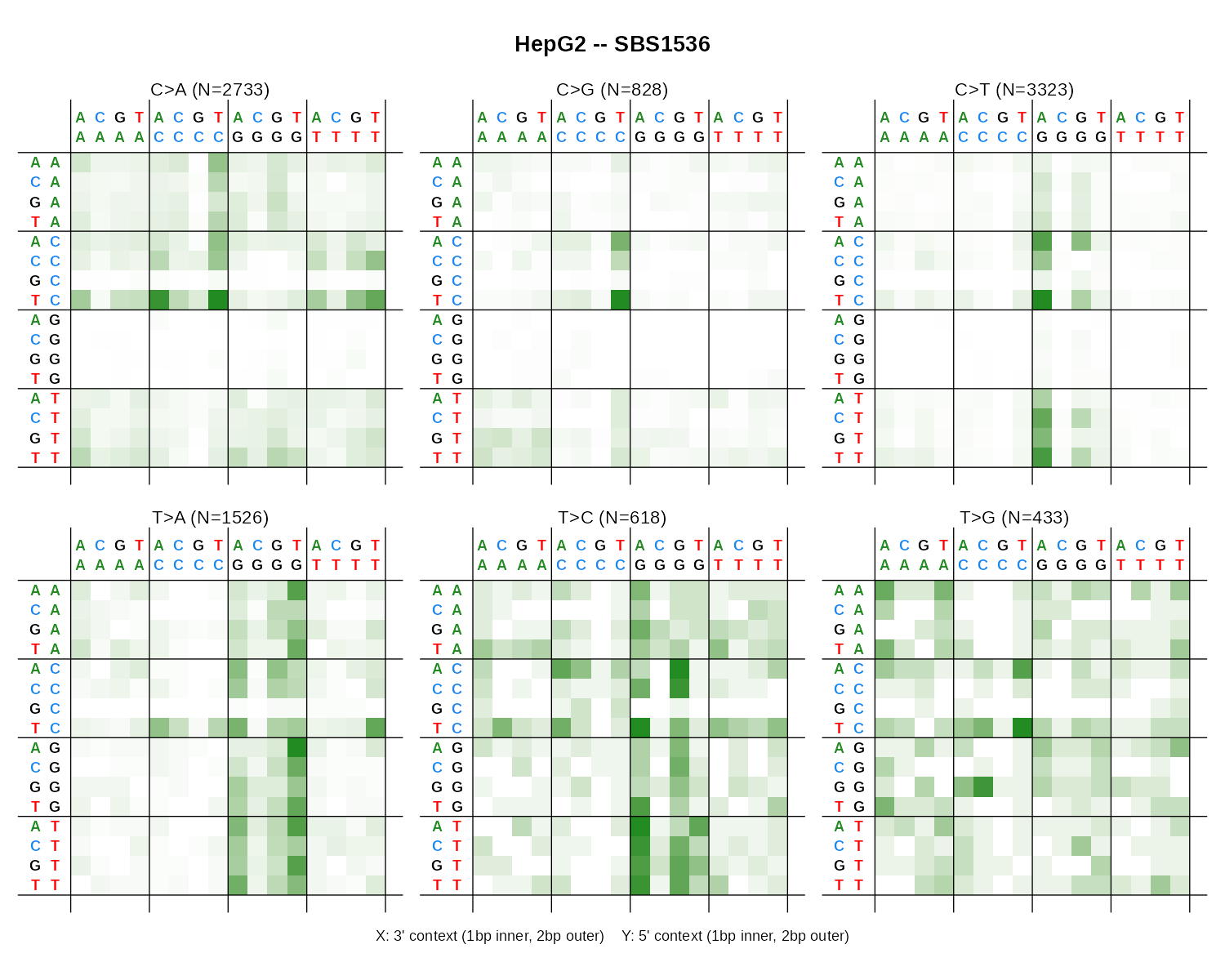 SBS1536 pentanucleotide-context heatmap