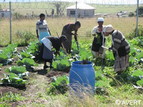 Women gardening